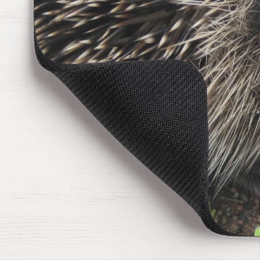 Igel Mousepad (Ecke)