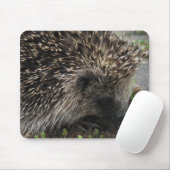 Igel Mousepad (Mit Mouse)