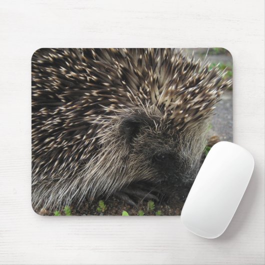 Igel Mousepad (Mit Mouse)