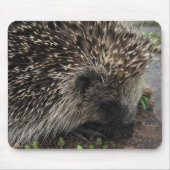 Igel Mousepad (Vorne)