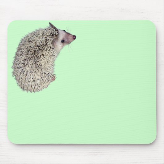 Igel Mousepad 2 (Vorne)