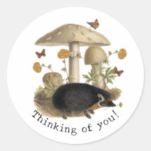 Igel Mushroom Woodland