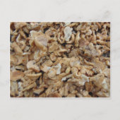 Igel Mushrooms Postkarte (Vorderseite)