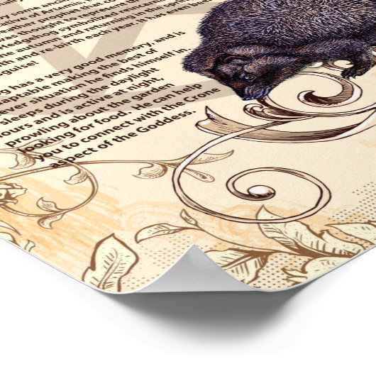 IGEL MYTHOLOGY POSTER (Ecke)