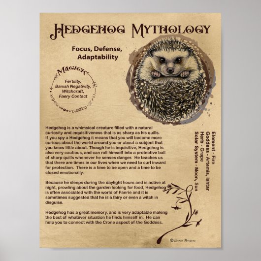 IGEL MYTHOLOGY POSTER (Vorne)