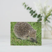 Igel Nah-up Postkarte (Stehend Vorderseite)