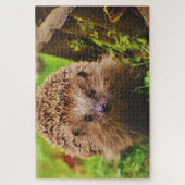 Igel neugierig erkunden puzzle (Vertikal)