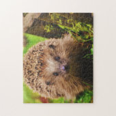 Igel neugierig erkunden puzzle (Vertikal)