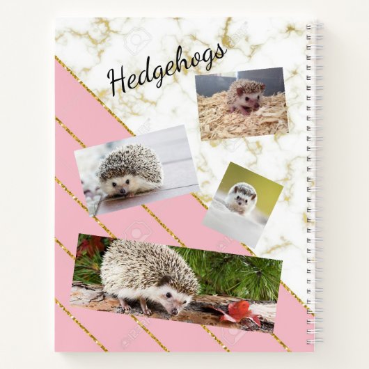 Igel Notizblock (Rückseite)