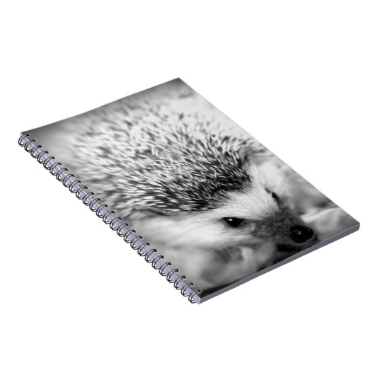 Igel Notizblock (Rechte Seite)