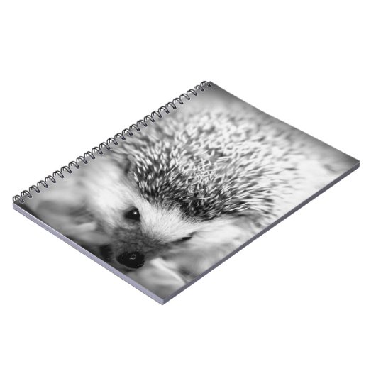 Igel Notizblock (Linke Seite)