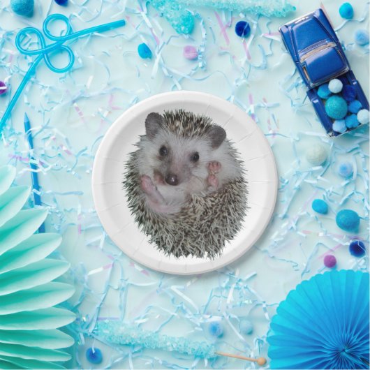 Igel Pappteller (Party)