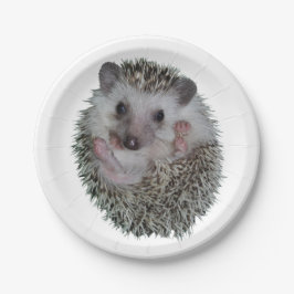 Igel Pappteller