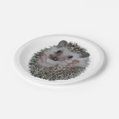 Igel Pappteller (Schrägansicht)