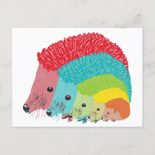 Igel Postkarte