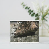 Igel Postkarte (Stehend Vorderseite)