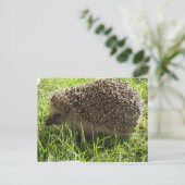 Igel Postkarte (Stehend Vorderseite)