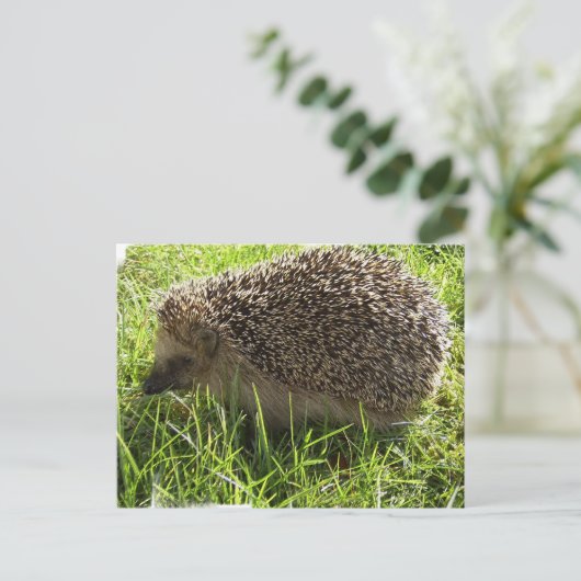 Igel Postkarte (Stehend Vorderseite)