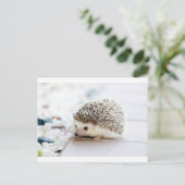 Igel Postkarte (Stehend Vorderseite)