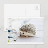 Igel Postkarte (Vorne/Hinten)