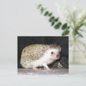 Igel Postkarte (Stehend Vorderseite)