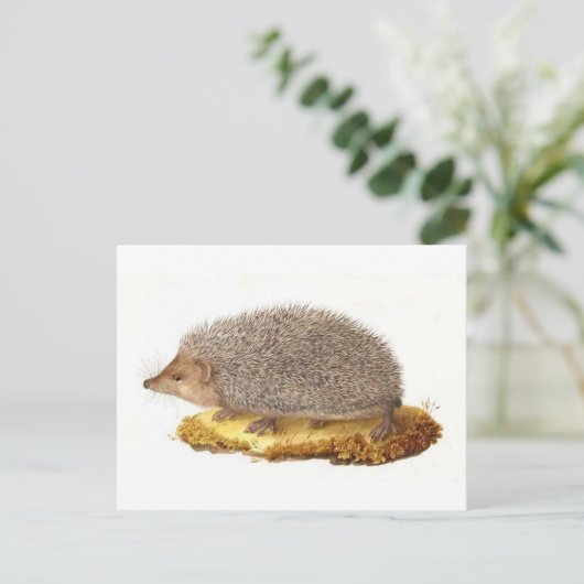 Igel Postkarte (Stehend Vorderseite)