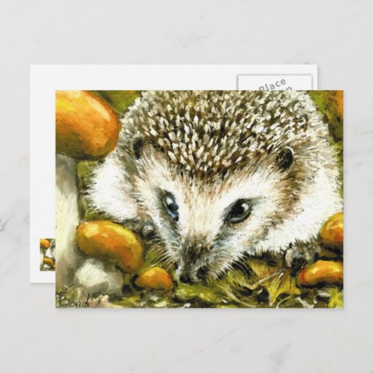 Igel Postkarte (Vorne/Hinten)