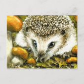 Igel Postkarte (Vorderseite)