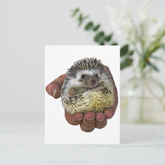 Igel Postkarte (Stehend Vorderseite)