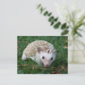 Igel Postkarte (Stehend Vorderseite)
