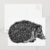 Igel Postkarte (Vorne/Hinten)