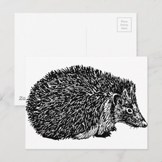 Igel Postkarte (Vorne/Hinten)