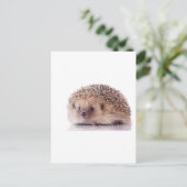Igel, Postkarte (Stehend Vorderseite)