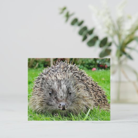 Igel Postkarte (Stehend Vorderseite)