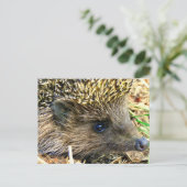 Igel Postkarte (Stehend Vorderseite)