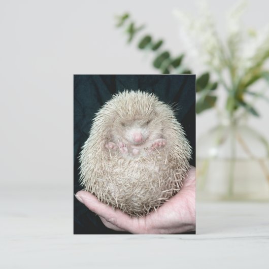 Igel Postkarte (Stehend Vorderseite)