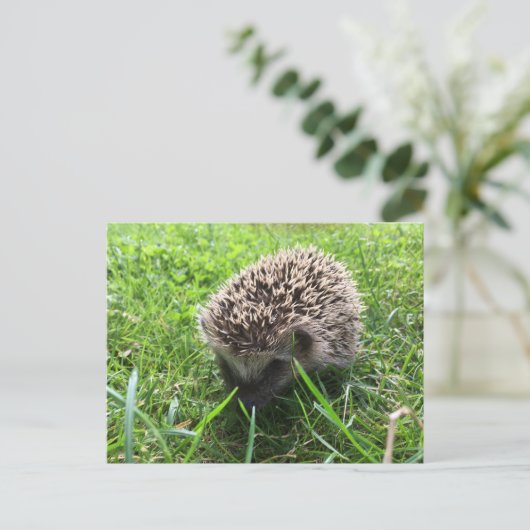 Igel Postkarte (Stehend Vorderseite)
