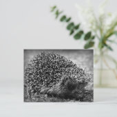 Igel Postkarte (Stehend Vorderseite)