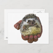 Igel Postkarte (Vorne/Hinten)