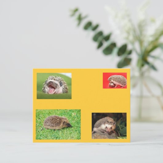 Igel Postkarte! Sehr niedlich! Postkarte (Stehend Vorderseite)