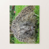Igel Puzzle (Vertikal)