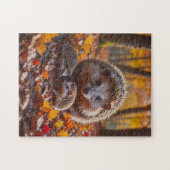 Igel Puzzle (Horizontal)