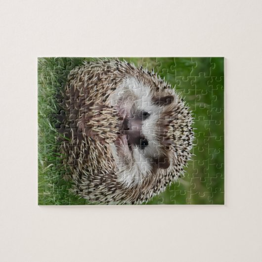 Igel Puzzle (Horizontal)