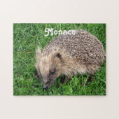Igel Puzzle (Horizontal)