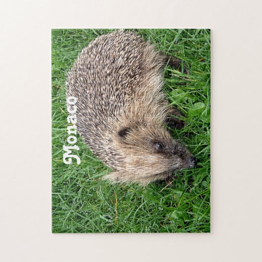 Igel Puzzle (Vertikal)