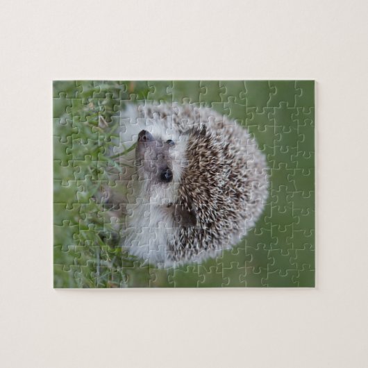 Igel Puzzle (Horizontal)