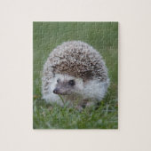 Igel Puzzle (Vertikal)