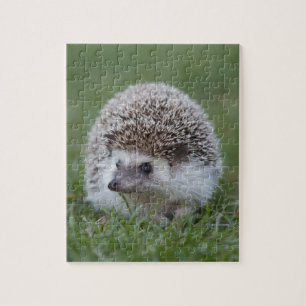 Igel Puzzle