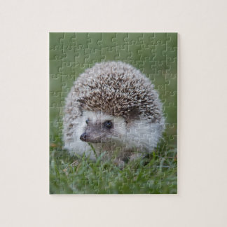Igel Puzzle
