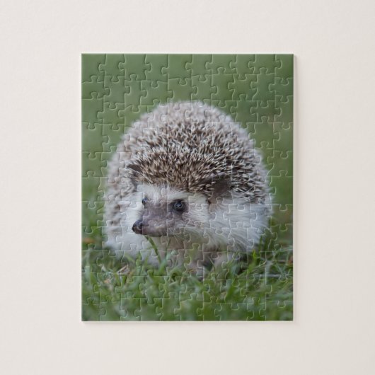 Igel Puzzle (Vertikal)